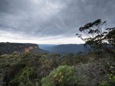 Wentworth Falls Mar 2024_GFA6405s.jpg