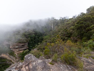 Wentworth Falls Mar 2024_GFA6428s.jpg