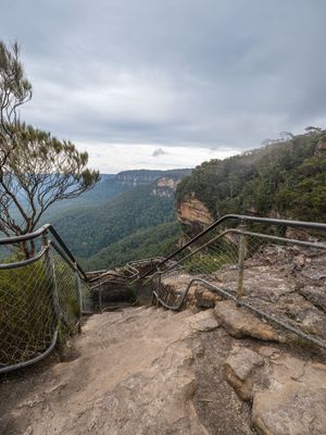 Wentworth Falls Mar 2024_GFA6435s.jpg
