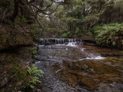 Wentworth Falls Mar 2024_GFA6442s.jpg