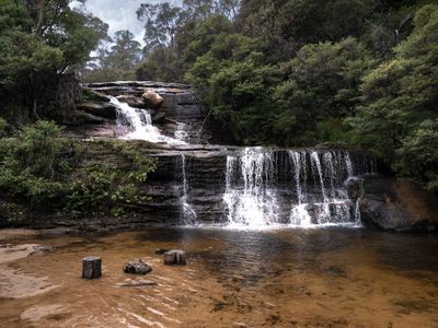 Wentworth Falls Mar 2024_GFA6447s.jpg