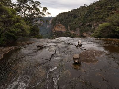 Wentworth Falls Mar 2024_GFA6451s.jpg