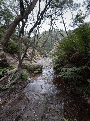 Blue Mountains