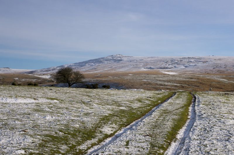 Snow on Dartmoor