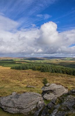 Dartmoor in Autumn