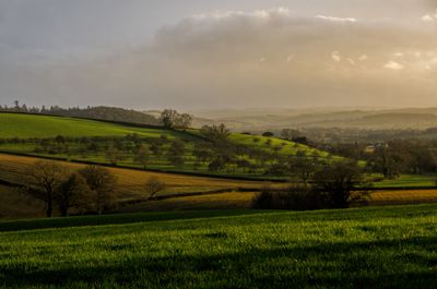 Evening light