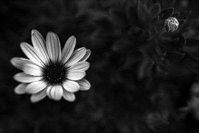 M1010425.JPG