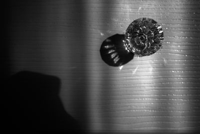 M1010396.JPG
