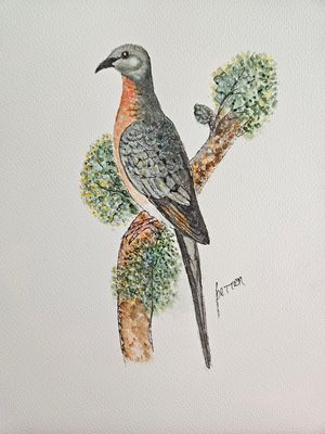 AQUARELLE et DESSIN