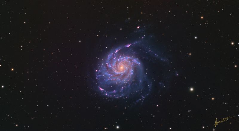 M101
