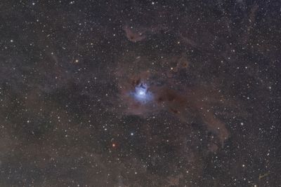 The Iris Nebula (NGC7023)