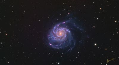 M101