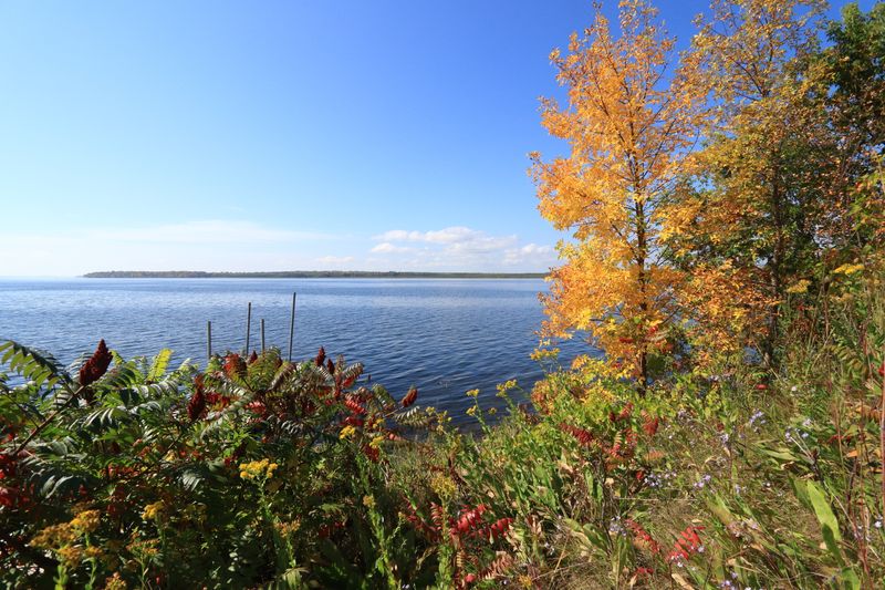 Leech Lake MN.JPG