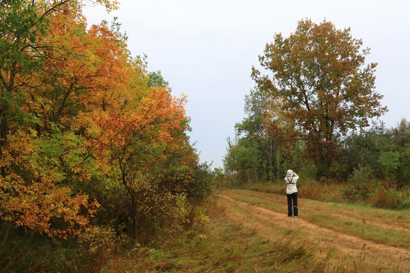 Rainy Day Birding in ND.JPG