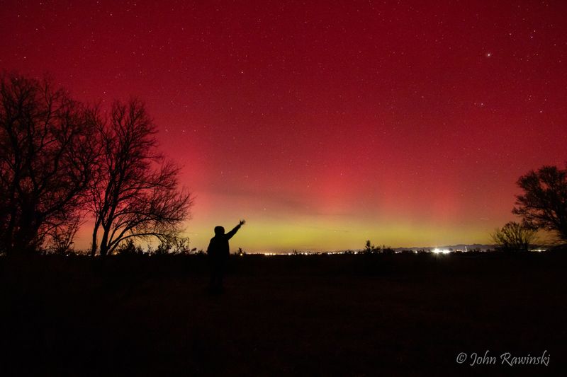 colorado_usa_birds_and_fauna