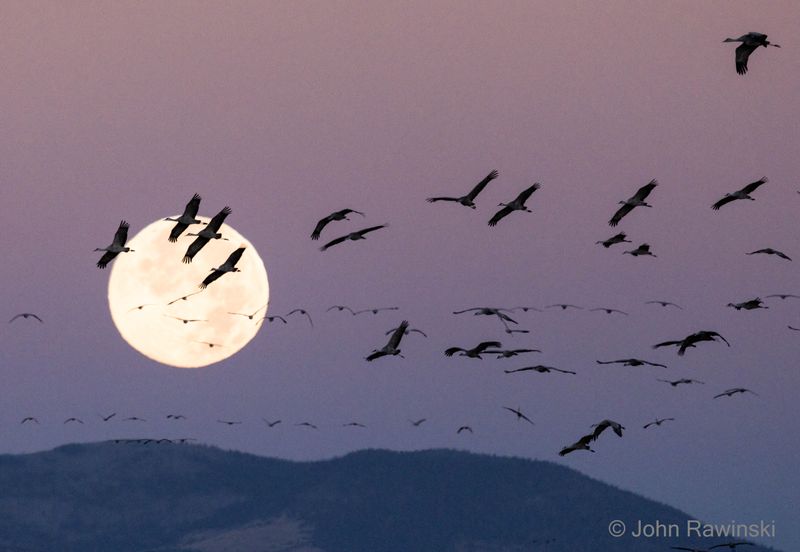 four at moon-1797.jpg