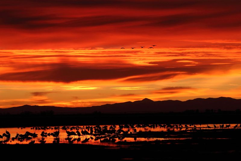 IMG_6697 for show_1.JPG