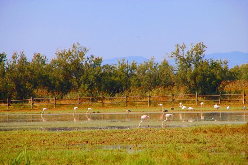 Parc Natural dels Aiguamolls de lEmpord