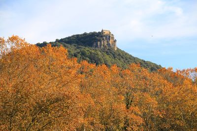 Amer (La Selva)