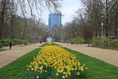 Brussels. Parc de Bruxelles