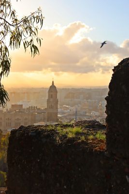 Mlaga. Castillo de Gibralfaro