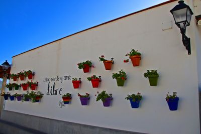 Mijas