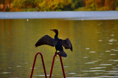Banyoles (Pla de lEstany)