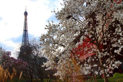 Paris. Jardin du Musée du Quai Branly