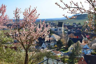 PARIS AND THE ALSACE