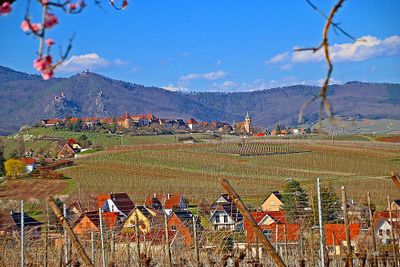 PARIS AND THE ALSACE
