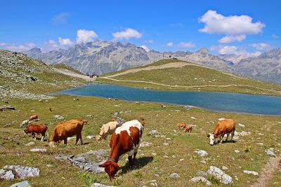 SWITZERLAND 2025