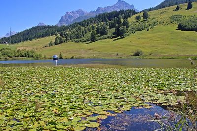 SWITZERLAND 2025