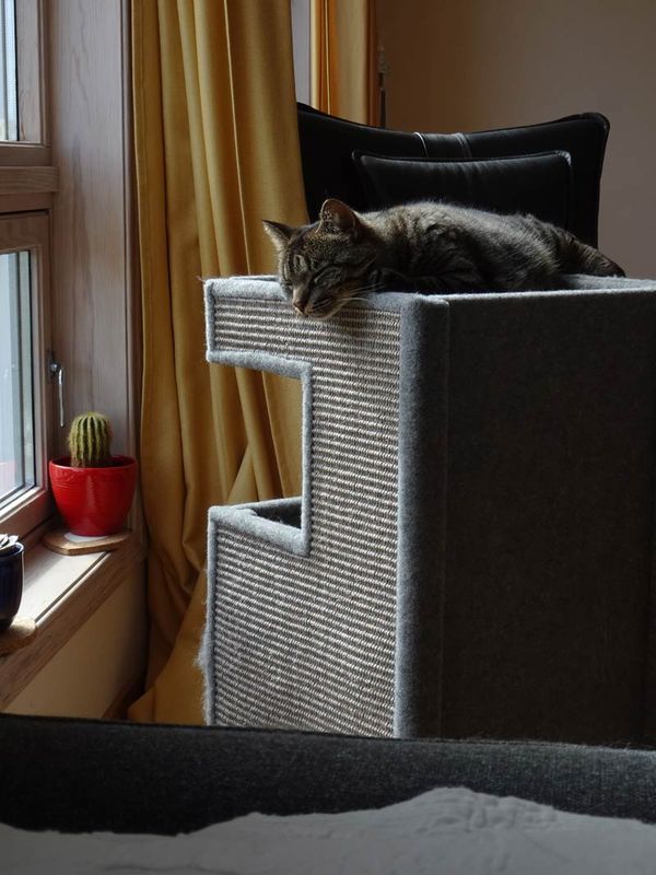 I, The Cat