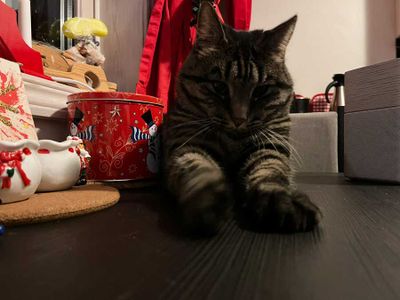 g13/48/1004648/3/175273986.fcd3c355.JPEG