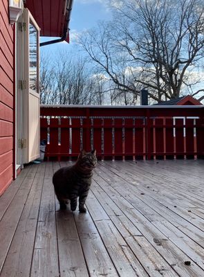 g13/48/1004648/3/175291756.04a28426.JPEG