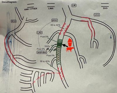 Image 3-6-24 at 8.35 AM.jpg
