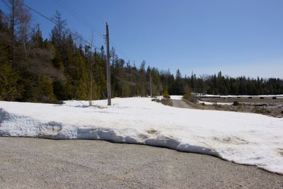 COTTAGE - SPRING 2025