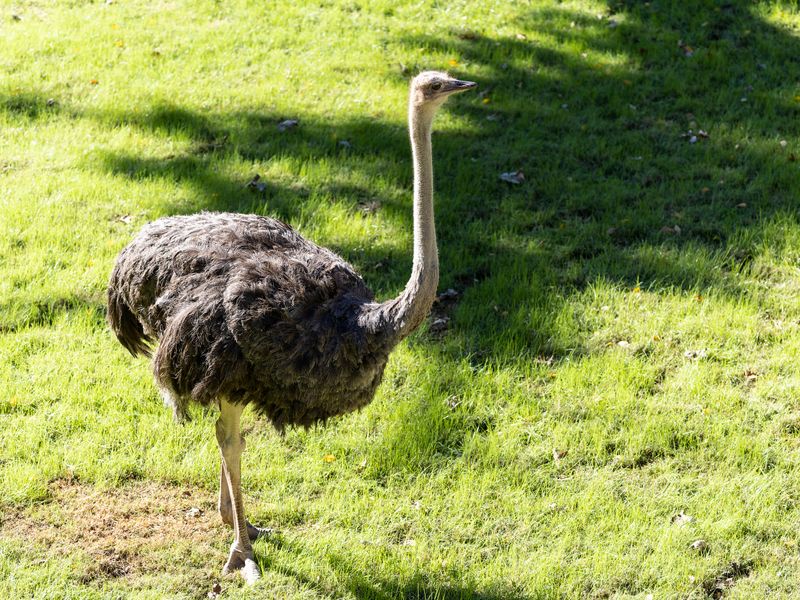 zoo_2022_20221112_000791-2.jpg
