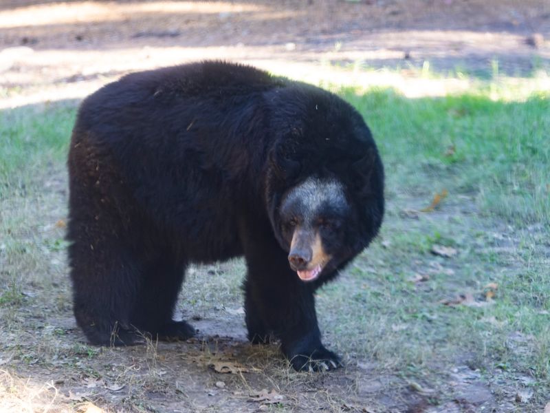 zoo_2022_20221112_001014-2.jpg