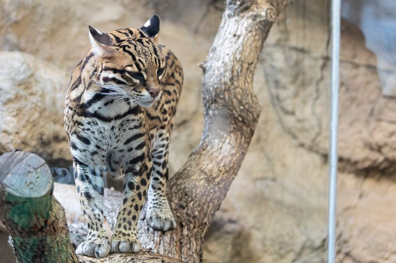 zoo_2022_20221112_001191-2.jpg