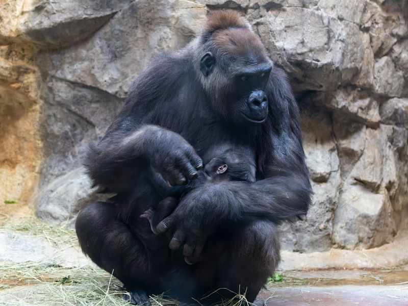 zoo_2022_20221112_001268-2.jpg