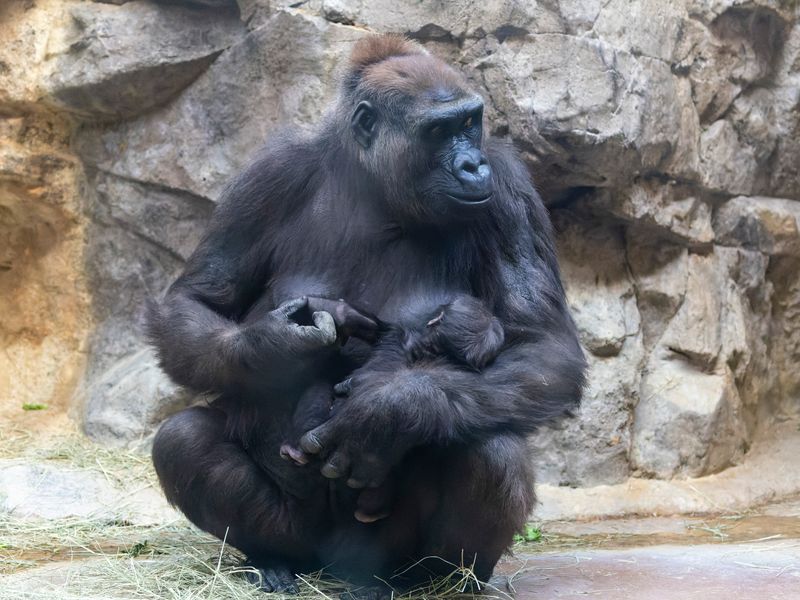 zoo_2022_20221112_001276-2.jpg