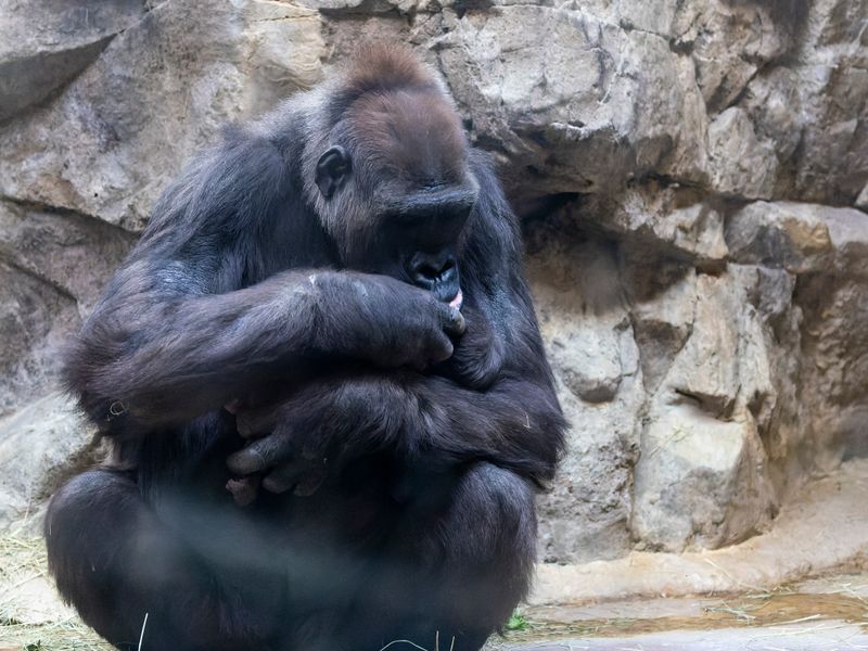 zoo_2022_20221112_001428-2.jpg