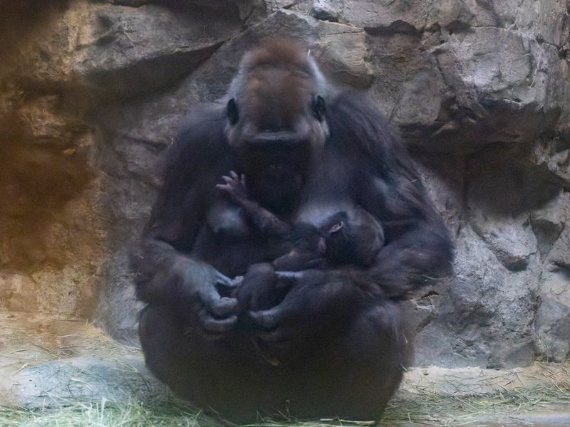 zoo_2022_20221111_000616.jpg