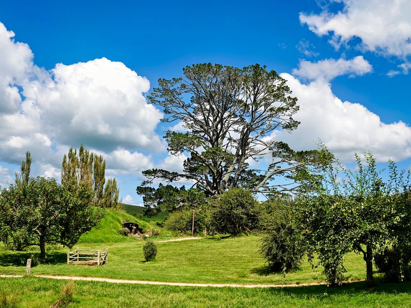NZ_AUS_002407_20230305.jpg