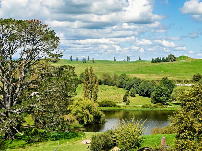 NZ_AUS_002408_20230305.jpg