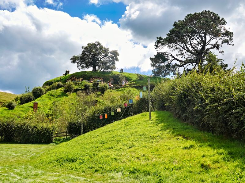 NZ_AUS_002410_20230305.jpg