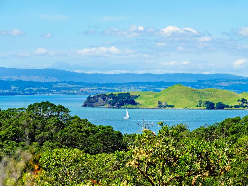NZ_AUS_002424_20230307.jpg