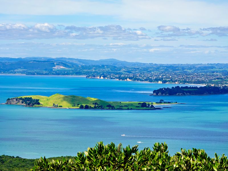 NZ_AUS_002425_20230307.jpg
