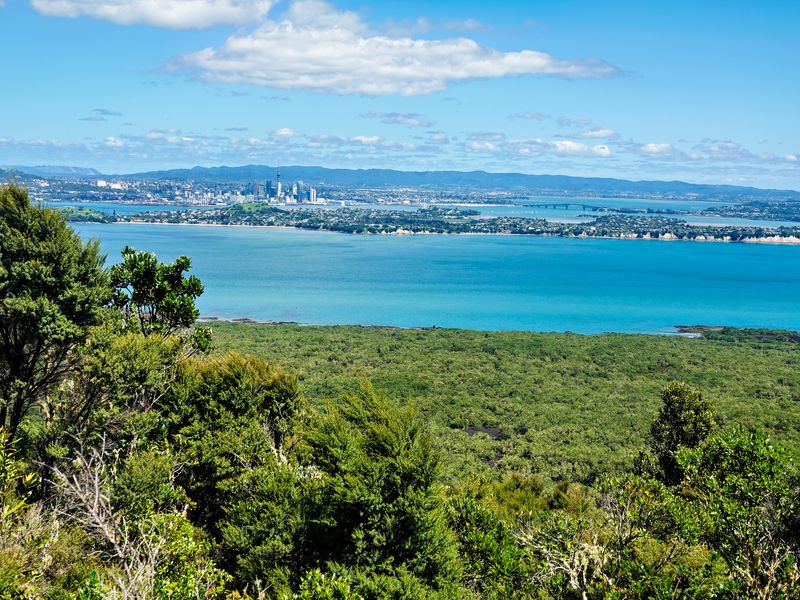 NZ_AUS_002426_20230307.jpg